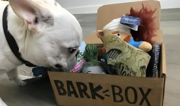 跨境电商经典案例Bark box